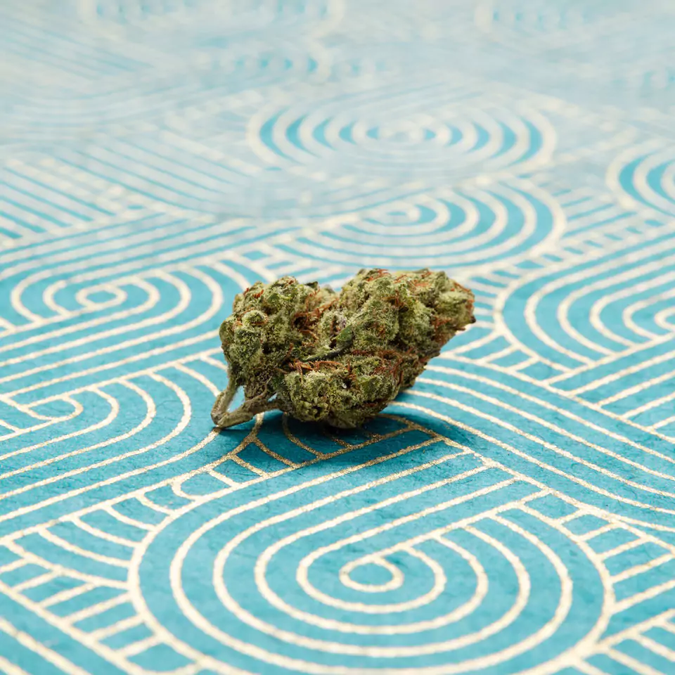 Dagmar Cannabis Categories Flower