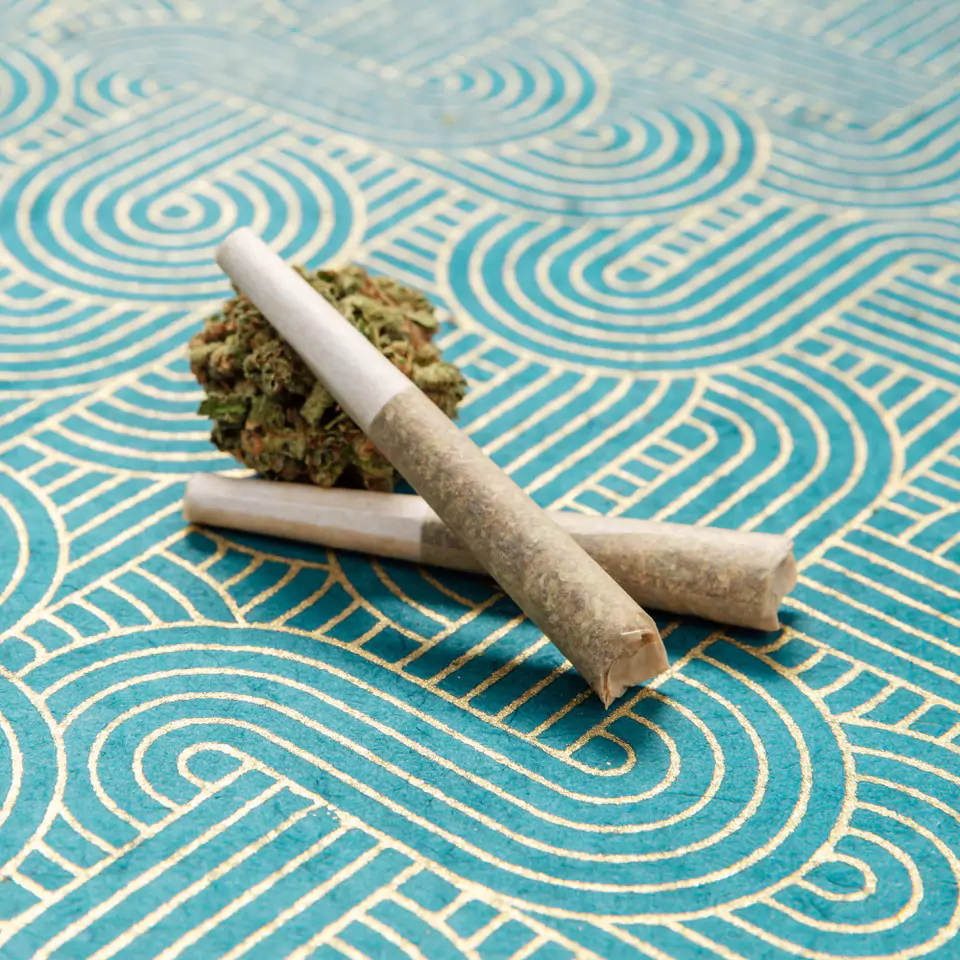 Dagmar Cannabis Categories Pre-Rolls